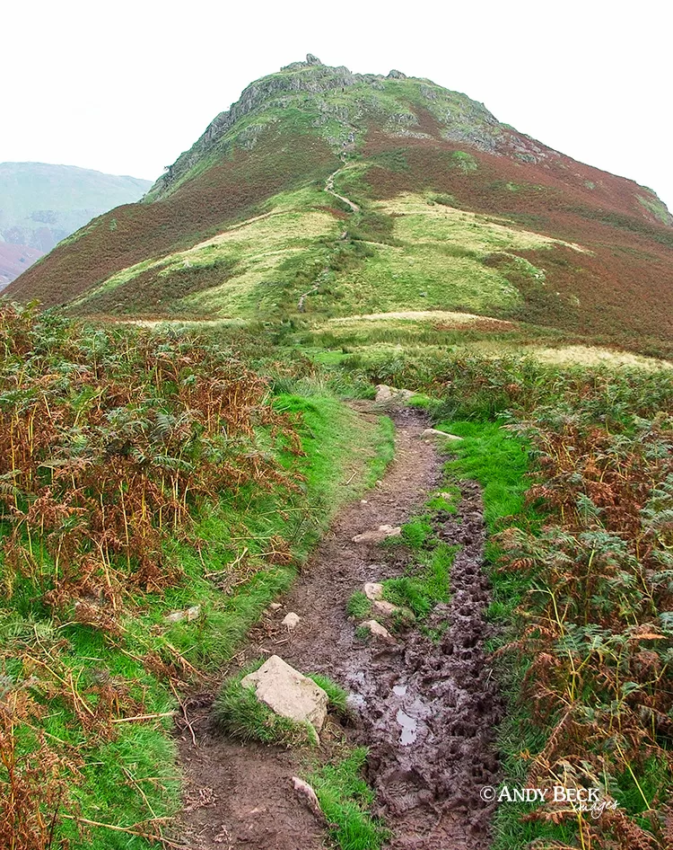 Helm Crag from near Gibson Knott, Wainwright fells