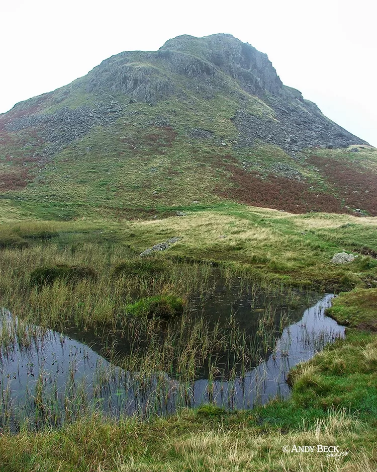 Lang How near Silver How, Central Fells