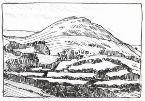 Low Fell line drawing by Andy Beck
