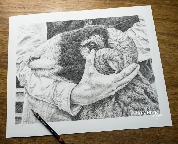 Steady Hands Limited Edition Print - Image 2