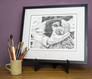 Steady Hands print by Andy Beck, Swaledale sheep print