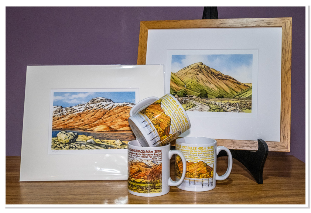 Guess the fell prizes 2024