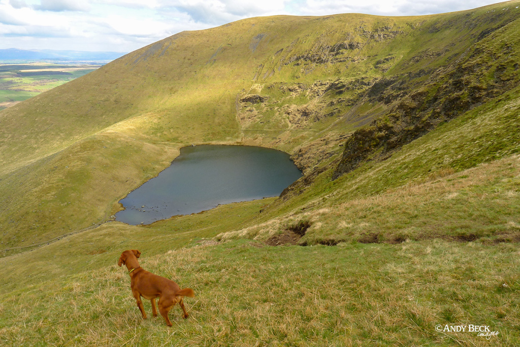 Above Bowscale Tarn, Bowscale Fell, Wainwright Bowscale Fell, Northern Fells