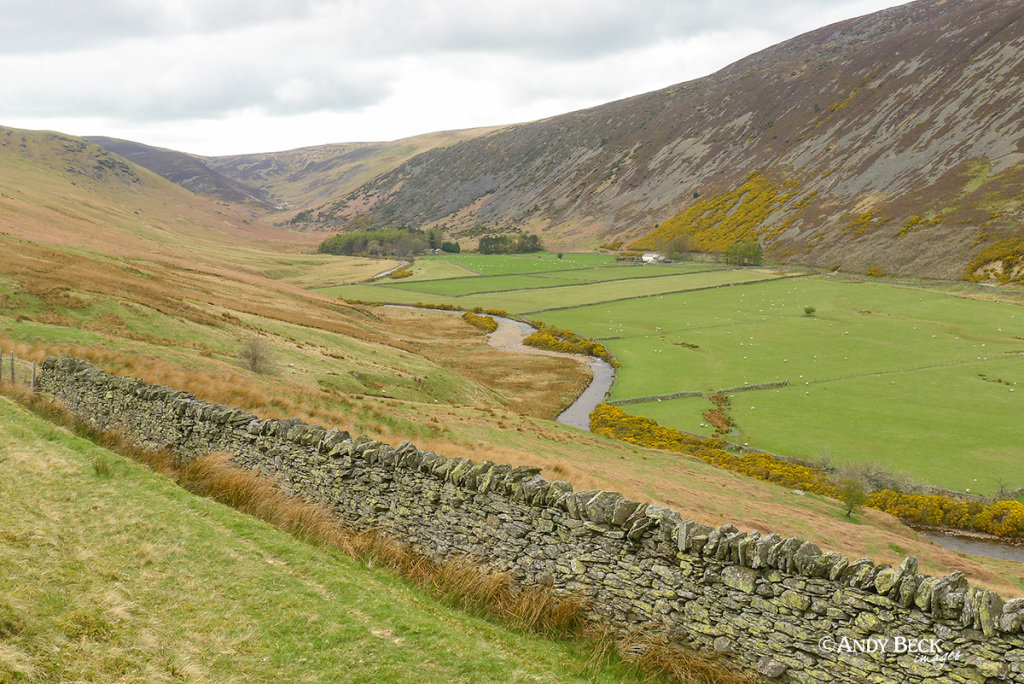 Mosedale (northern Fells), Mosedale valley near Mungrisedale