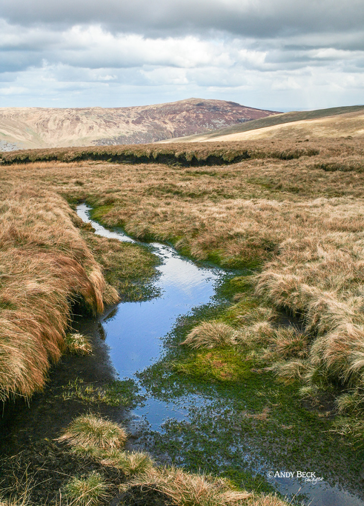 Mungrisedale Common moss, Northern Fells, Wainwright Mungrisedale Common