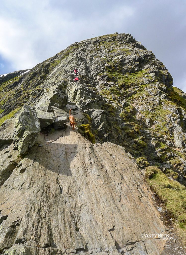 Sharp Edge and Foule Crag, Blencathra. Wainwright Blencathra, Northern Fells