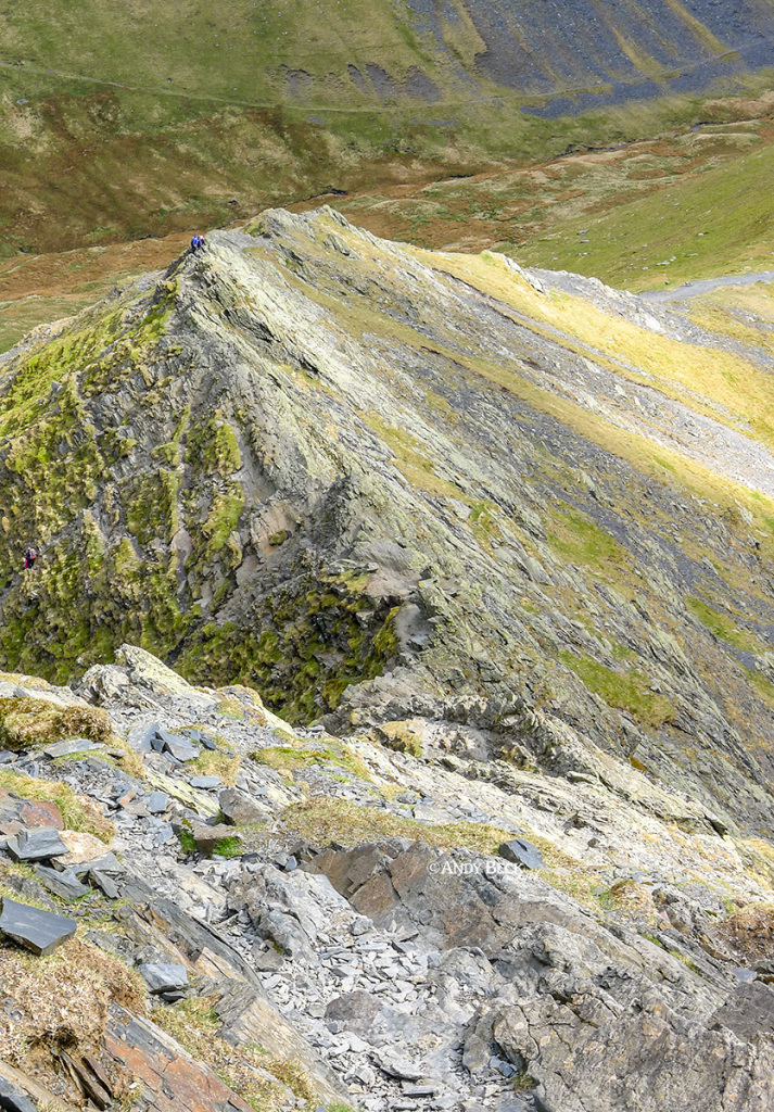 Sharp Edge from Foule Crag, Blencathra. Wainwright Blencathra, Northern Fells