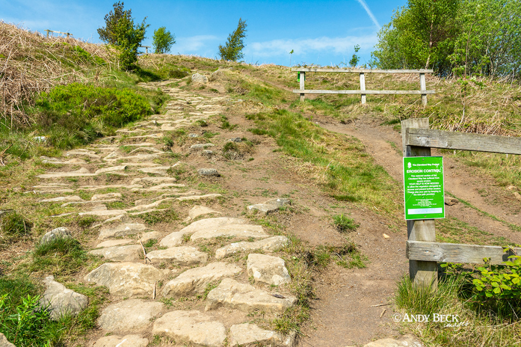 Cleveland Way and the Coast to Coast path erosion control at Hasty Bank