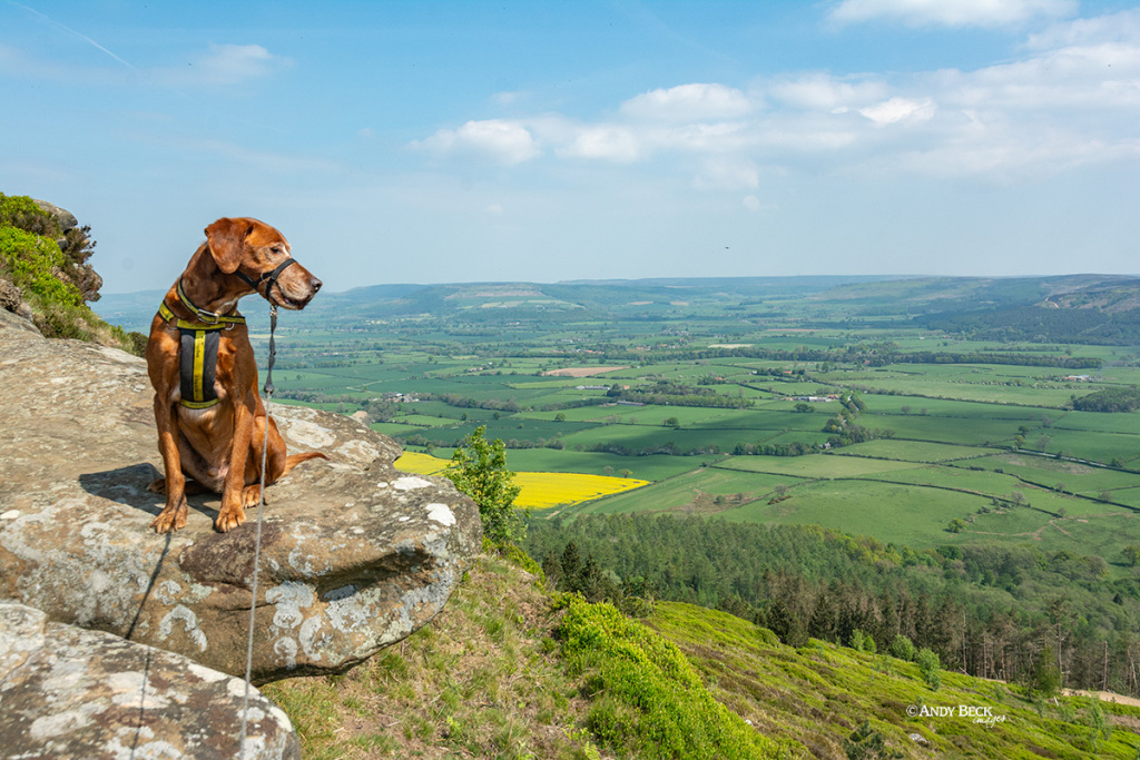 The Cleveland Plain from Hasty Bank on the Wainwright Coast to Coast walk.
