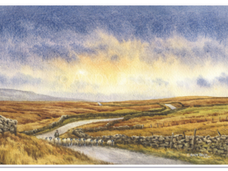 Nearly home watercolour painting by Andy Beck featuring shepherd and Swaledale sheep at evening