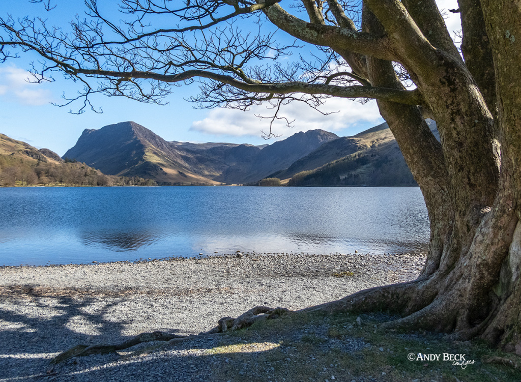 Buttermere and Haystacks from the lake shore
