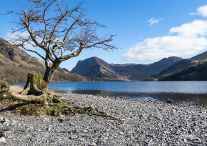 The shore of Buttermere Lake with Fleetwith Pike and Haystacks in the distance