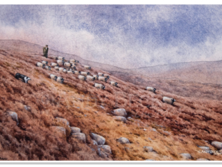 Gathering off the Fell, watercolour painting by artist Andy Beck