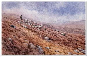 Gathering off the Fell, watercolour painting by artist Andy Beck