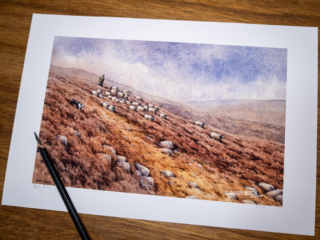 Gathering off the fell limited edition print by Andy Beck