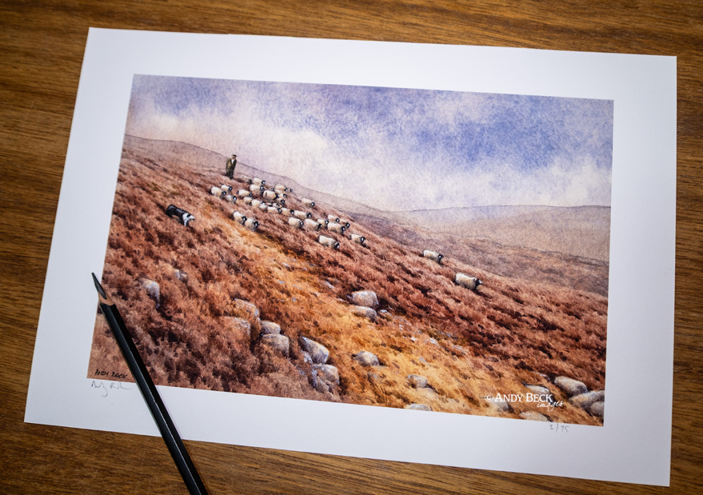 Gathering off the fell limited edition print by Andy Beck