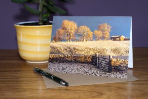 After the snow storm. A line of trees in the late afternoon light of winter. Teesdale greeting card