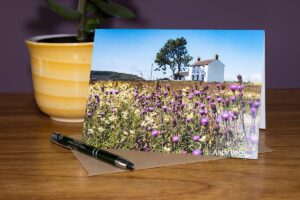 Late Summer at Forest in Teesdale. Wildflowers in front of a farmhouse. Teesdale Greeting card