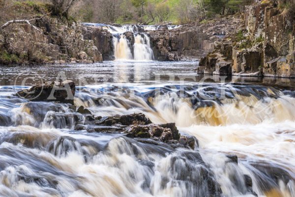 Low Force Waterfalls Teesdale - Image 2