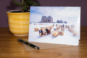 Snow sheep at Bowes with Bowes Castle behind. Teesdale greeting card