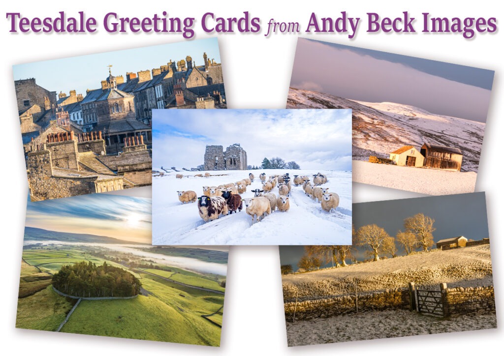 A selection of Teesdale Greeting cards by Andy Beck