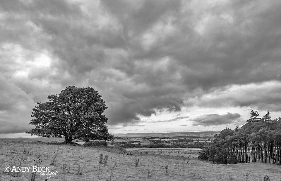storm clouds over Bowes