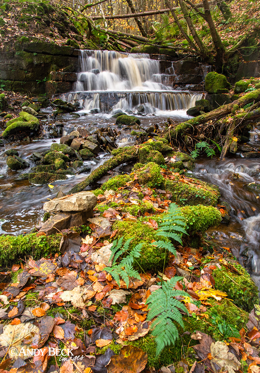 Woodland waterfall