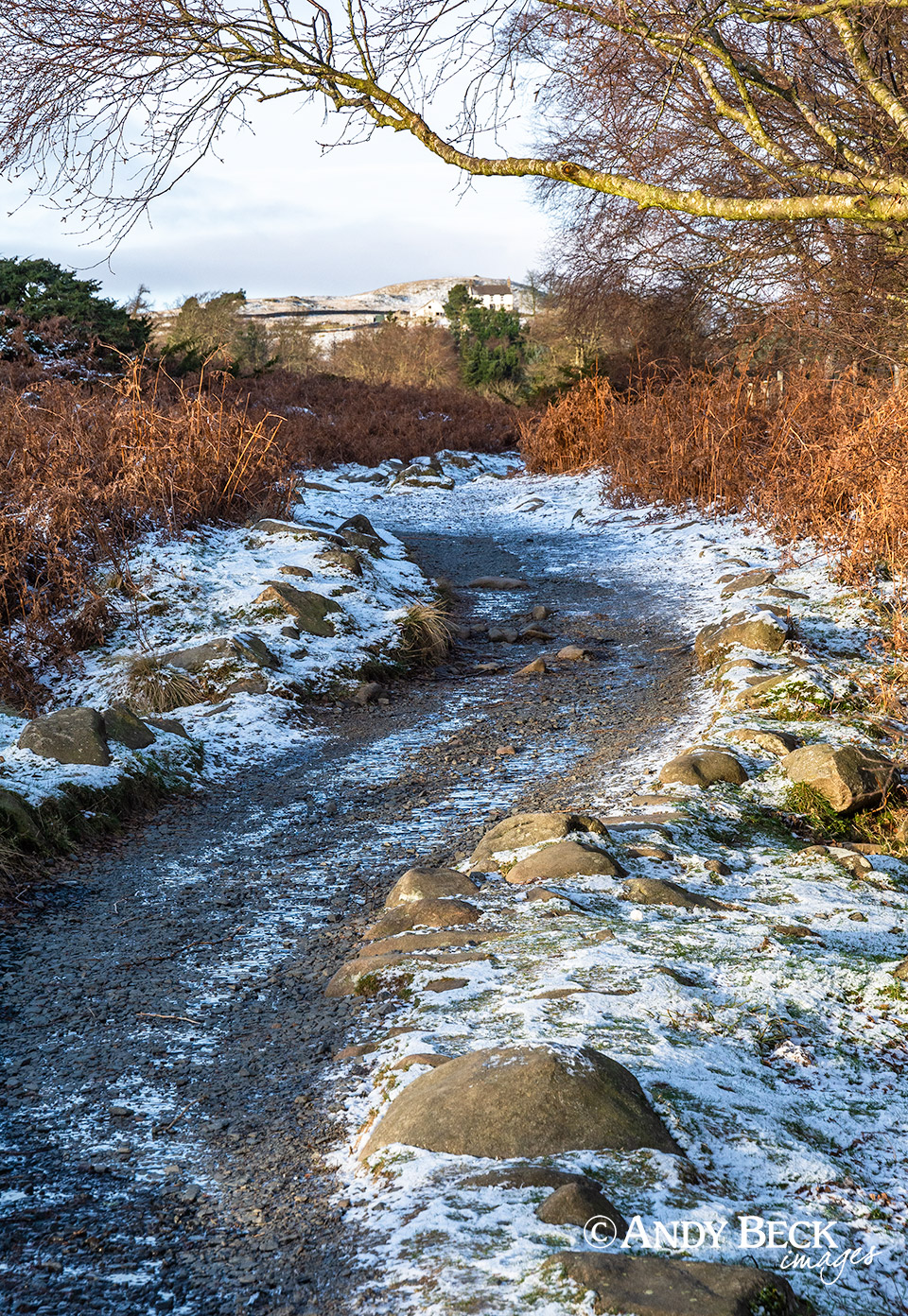 Winter path, High Force